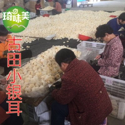 古田小银耳 白木耳 非椴木 银耳 特产干货 桃胶雪燕雪耳 糯耳图5