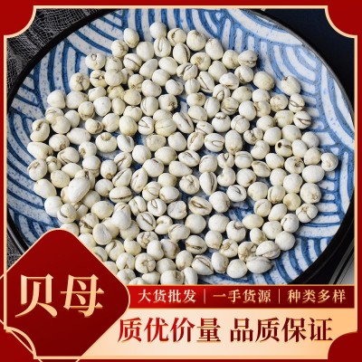 中药材大货贝母 川贝母平贝母规格齐全多样产地直供批发零售代发