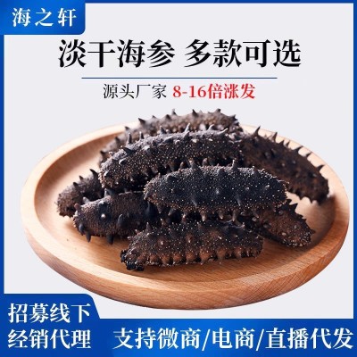 深海大连辽参纯淡干海参干货批发海参礼盒海参干货散装非即食海参