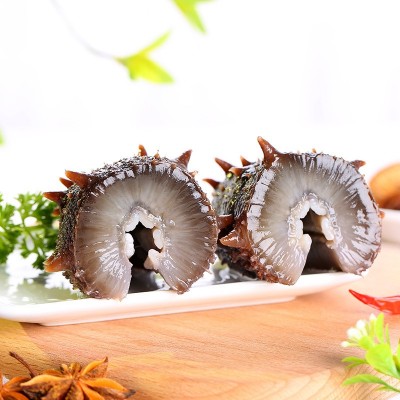 海之轩工厂大连即食海参批发辽刺参开袋即食 鲜食海参500g 非干参图2