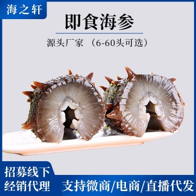 海之轩工厂大连即食海参批发辽刺参开袋即食 鲜食海参500g 非干参