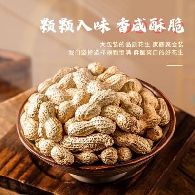 老灶煮花生水煮花生蒜香花生下酒菜零食 休闲小食花生米批发图3