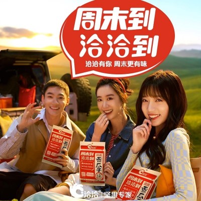 洽洽瓜子经典原味瓜子批发袋装葵花籽恰恰瓜子多口味规格零食批发图4