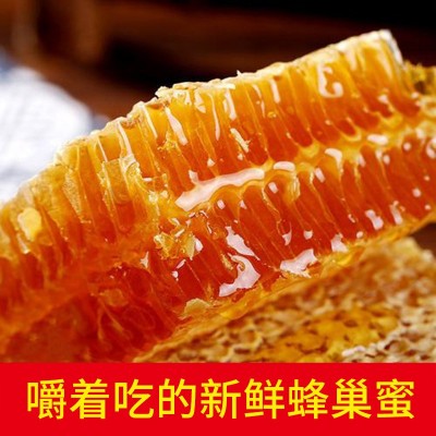 蜂巢蜜批发 山花散装农家土蜂蜜荆条蜜 250g/500g成熟蜂巢蜜批发图2