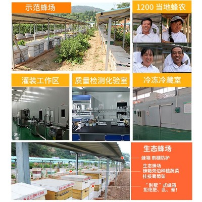 蜂巢蜜批发 山花散装农家土蜂蜜荆条蜜 250g/500g成熟蜂巢蜜批发图5