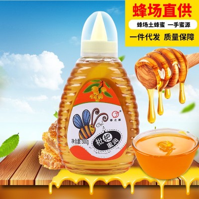 春之源枇杷蜂蜜 500g1斤瓶装野山土蜂蜜超市甜品店景区蜂场批发