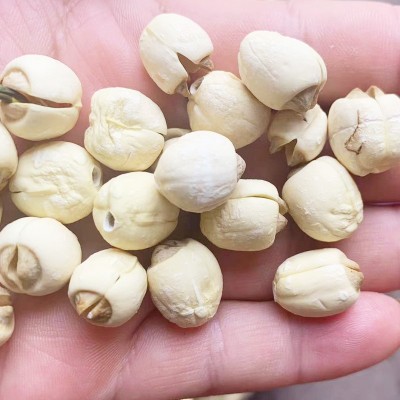 2023新鲜带芯白莲子500g 袋装白莲子批发量大从优手工白莲子图2