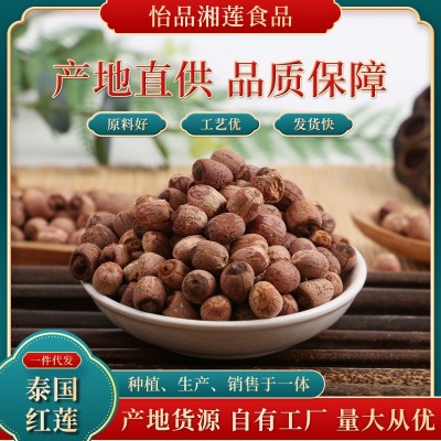 泰红莲有芯红莲批发 500g袋装带芯红莲莲肉 泰莲红莲子批发14.50