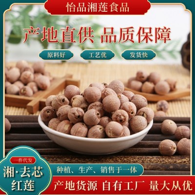 湘莲子去芯红莲 500g去芯湘莲批发 去芯红莲莲子干货