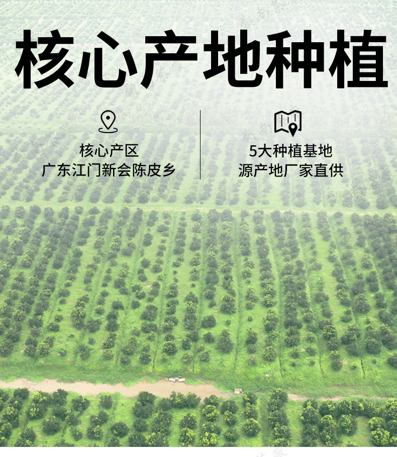 干仓陈皮十年_04