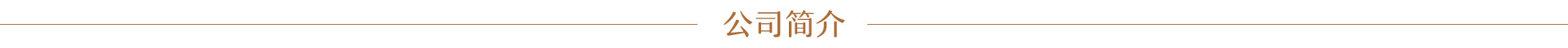 公司简介.jpg