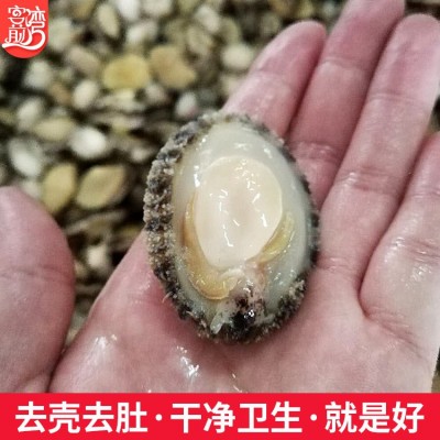 鲍鱼批发 东山水产冷冻鲍鱼肉去壳处理 冻品海鲜产地货源一件代发图3