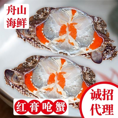 呛蟹红膏咸蟹舟山宁波特产腌制醉蟹冷冻梭子蟹蟹糊蟹块即食类海鲜图3