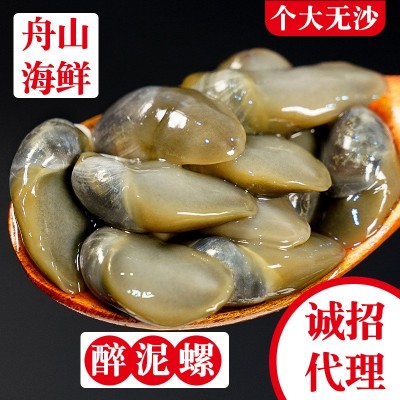 舟山黄泥螺宁波特产即食海鲜生腌海产品醉螺