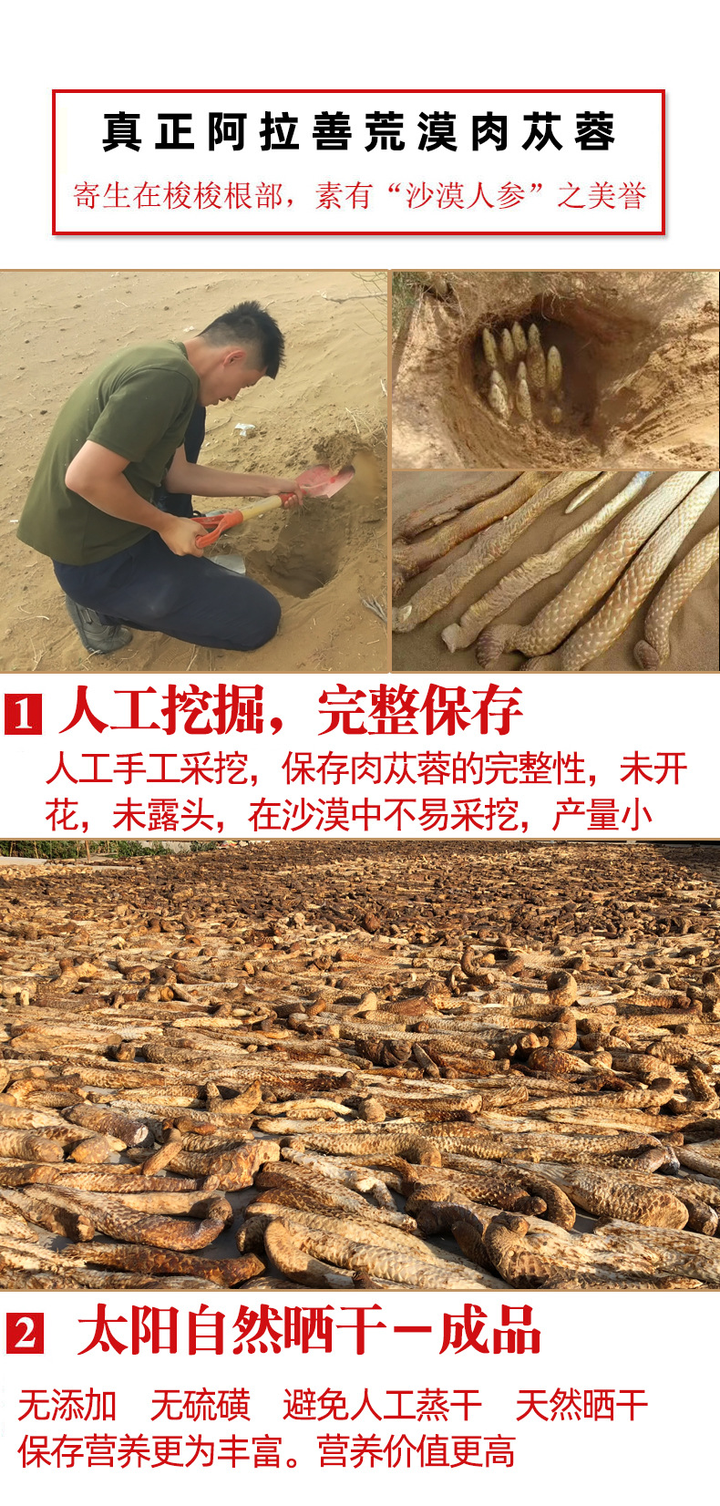 肉苁蓉详情页已改字体-完整版_14.jpg