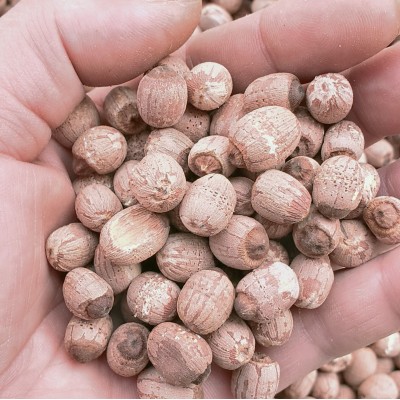 2023年散装新莲子干货 新泰莲带芯红莲500g 带芯红莲子干货农产品图4