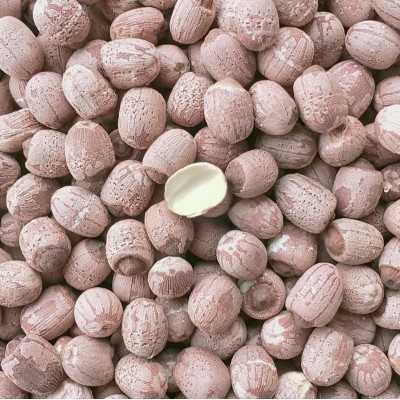 2023年散装新莲子干货 新泰莲带芯红莲500g 带芯红莲子干货农产品图3