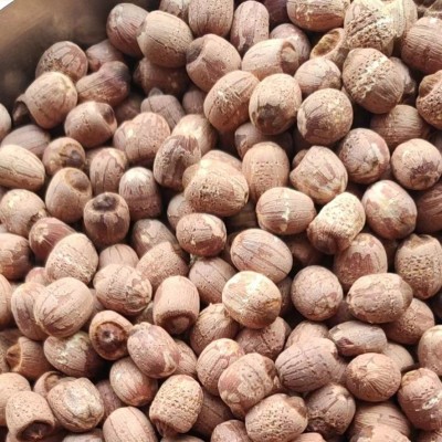 2023年散装新莲子干货 新泰莲带芯红莲500g 带芯红莲子干货农产品图5