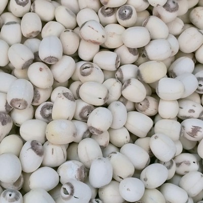 湘潭莲子干货新泰莲带芯小磨白莲500g带芯去皮莲子羹煲汤白莲子图2