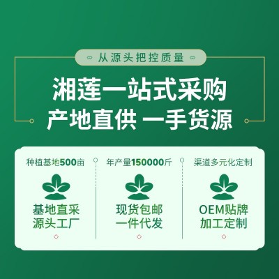 现货批发湘莲大号带芯红莲500g带芯莲子干货新鲜莲子支持一 件代发图4