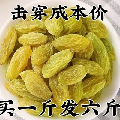 大颗粒新疆葡萄干大颗粒绿香妃王葡萄干免洗无核特产零食图4