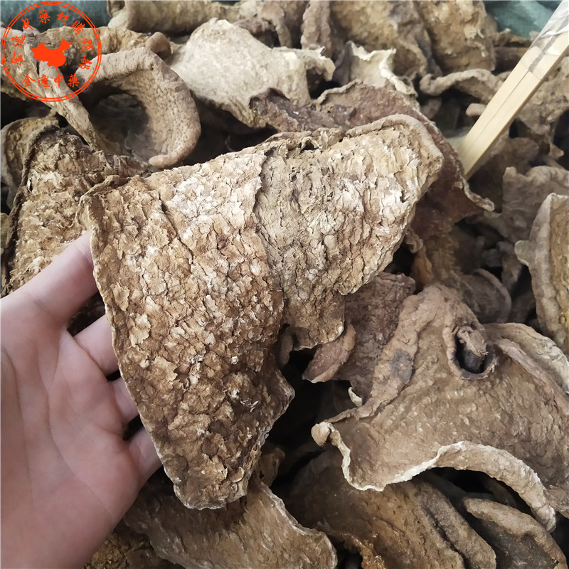 金不换 (8)_副本
