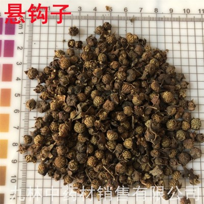 悬钩子500克 中药材悬钩子 山莓 木莓 树莓 三月藨 包邮图4