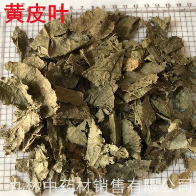黄皮叶500克 中药材 黄皮叶 黄皮果树叶 黄树皮叶 包邮
