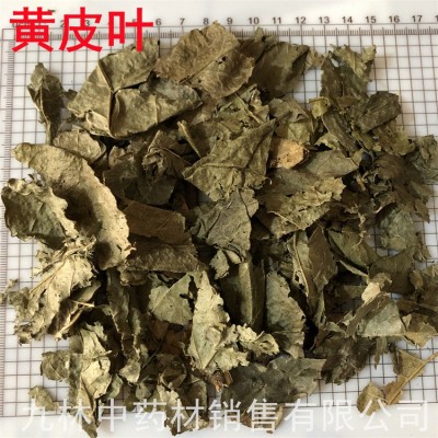 黄皮叶500克 中药材 黄皮叶 黄皮果树叶 黄树皮叶 包邮图3