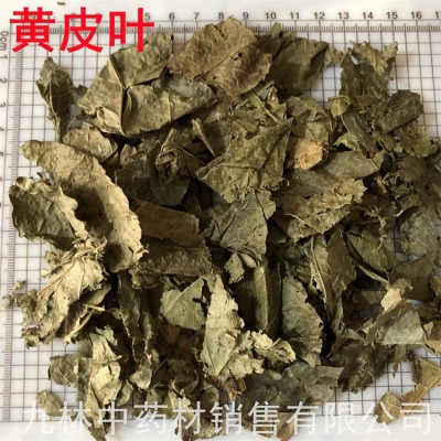 黄皮叶500克 中药材 黄皮叶 黄皮果树叶 黄树皮叶 包邮图2