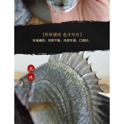 黄翅鱼 黄鲷鱼 黄立鱼 渔船速冻 2-3条一斤图4