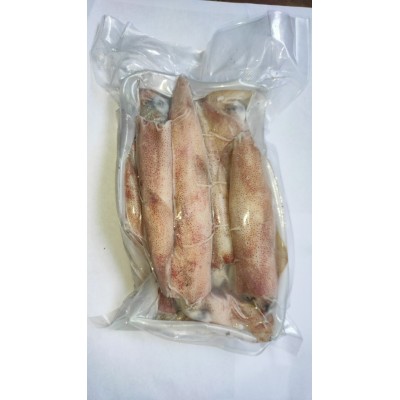 鱿鱼 钓鱿鱼/东山鱿鱼/东山大管/体长15-20厘米/甜甜脆脆的图3