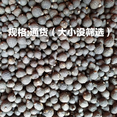 批发新会柑胎 小青柑陈皮果干 特产柑胎仔BB果小柑胎图2
