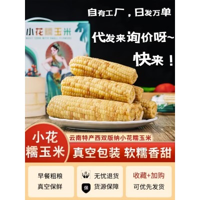 云南西双版纳糯玉米真空包装老品种手指玉米香糯早餐小玉米可代发