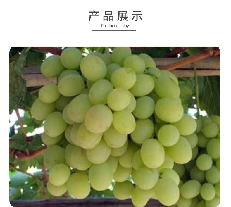 详情页3_08.jpg