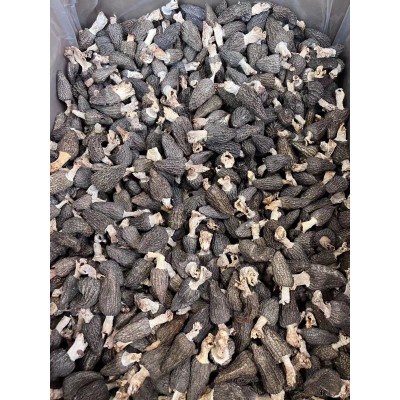 羊肚菌250克包邮批发干货新鲜营养菌菇菇类图2