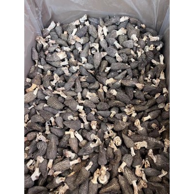 羊肚菌250克包邮批发干货新鲜营养菌菇菇类