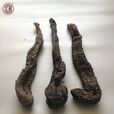 内蒙古阿拉善荒漠肉苁蓉批发 沙漠人参 秋季油肉苁蓉软大芸1斤图3