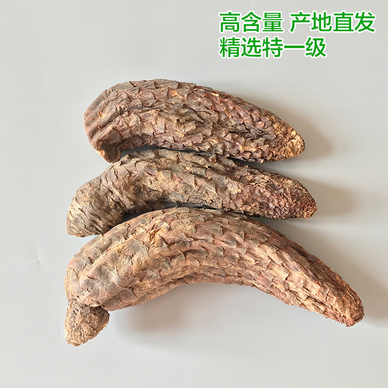 素材-1