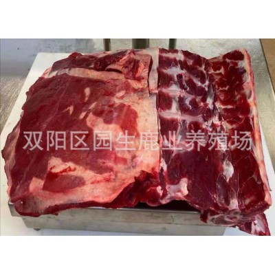 鲜鹿排 鹿肉白条整只 鲜鹿肉 鹿排 东北鲜鹿肉 吉林双阳鲜鹿肉图5