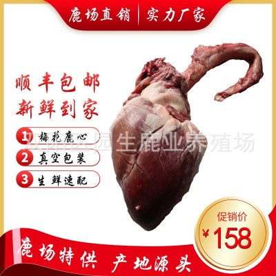 鹿心整个 鹿心粉 新鲜鹿心 鹿心正品