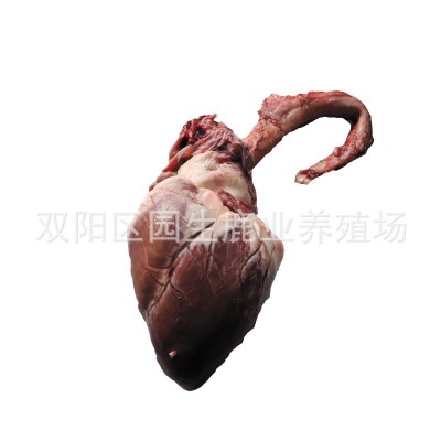 鹿心整个 鹿心粉 新鲜鹿心 鹿心正品图4