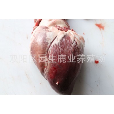 鹿心整个 鹿心粉 新鲜鹿心 鹿心正品图3