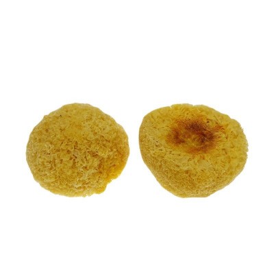 康旺古田特产丑耳500g糯耳银耳干货白木耳银耳羹食材厂家直销批发图5
