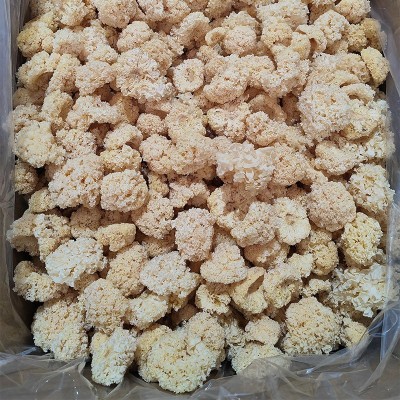 古田精挑椴木小银耳新耳采摘严选白木耳糯耳小银耳干货厂家直销图4