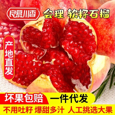 良慕川香 四川会理产地直供突尼斯软籽石榴新鲜采摘软籽石榴水果图2