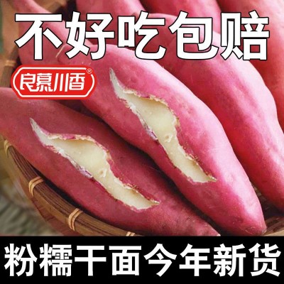 正宗板栗薯红皮白心红薯新鲜番薯白瓤山芋白肉栗子粉糯面地瓜红薯图4