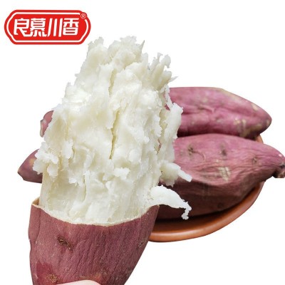 正宗板栗薯红皮白心红薯新鲜番薯白瓤山芋白肉栗子粉糯面地瓜红薯图5