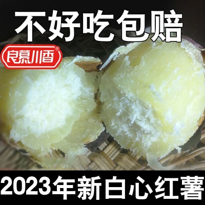 正宗板栗薯红皮白心红薯新鲜番薯白瓤山芋白肉栗子粉糯面地瓜红薯图3