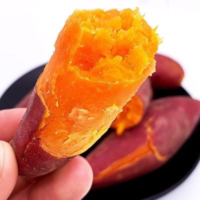 新鲜沙地蜜薯糖心红薯板栗红番薯黄心板栗薯甜糯软糯香甜地瓜图3